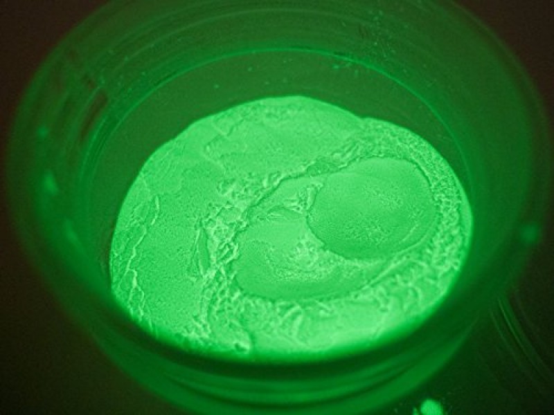 Glow in the dark paint Noxton for Exterior
